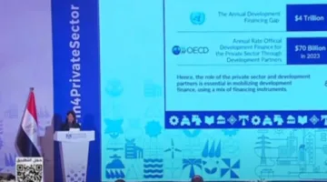 رانيا المشاط: الحكومة تتجه نحو اقتصاد يعتمد على القطاع الخاص ويعزز القدرة التنافسية
