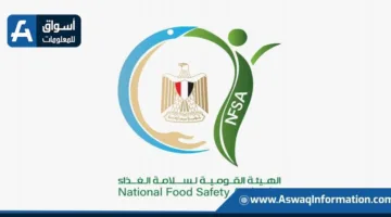 الهيئة الوطنية لسلامة الغذاء: تصدير 300 ألف طن من المنتجات الغذائية وزيادة الحملات التفتيشية