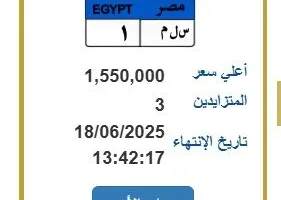 «تجاوزت مليون ونصف».. المرور يعرض الزيادة على لوحة مركبة فريدة