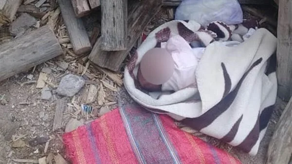 رأس طفل رضيع وسط المحاصيل.. جريمة بشعة في قرية عزبة البوصة بأبوتشت بقنا