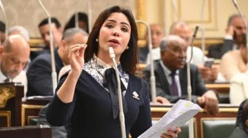 نائبة: قانون ملكية الدولة يُعَدُّ دليلاً نحو اقتصاد أكثر تنافسية