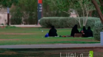 أمانة حفر الباطن تحافظ على 552,000 متر مربع من المتنزهات والمساحات الخضراء