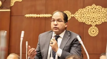 نائب: القيادة السياسية عززت أسس الأمن القومي في ظل تصاعد الاضطرابات الإقليمية