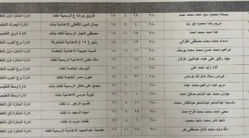 كشف أسماء المتفوقين في الشهادة الإعدادية بمحافظة الإسكندرية