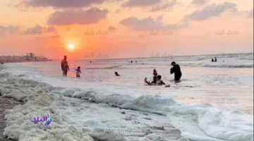أخلاقيات السفر والتمتع بالشواطئ: اكتشفها!
