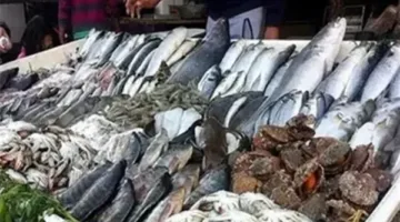 أسعار السمك والمأكولات البحرية مساء 15 يونيو 2025