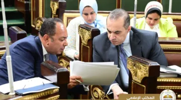 المستشار محمود فوزي يشارك في اجتماع النواب حول مشروع قانون تنظيم الأحكام الخاصة بملكية الدولة