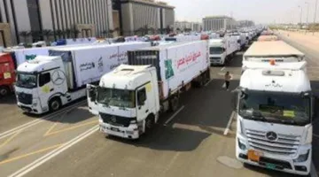 نائبة تونسية: قافلة غزة تحولت من نشاط إنساني إلى مشروع سياسي إخواني يستهدف مصر وليبيا