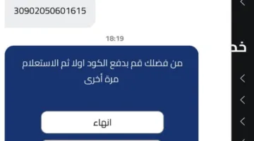 تعطل النظام.. مديرية تعليم الجيزة تُحبط فرحة أولياء أمور طلاب الصف الثاني الثانوي