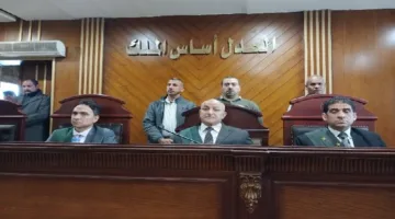 إحالة ملف قضية حداد متهم بقتل زوجته في الشرقية إلى المفتي
