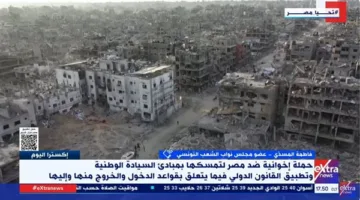عضو في البرلمان التونسي: ننبّه من استغلال معاناة الشعب الفلسطيني لصالح جهات أجنبية