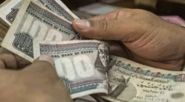 في مواجهة الفقر: كيف يسهم “تكافل” في تعزيز العدالة الاجتماعية في مصر؟