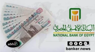 ما هي الشهادات البلاتينية في البنك الأهلي المصري؟ اكتشف المزيد من التفاصيل هنا.