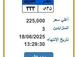 بدء مزاد بيع لوحة سيارة مميزة بسعر 225 ألف جنيه