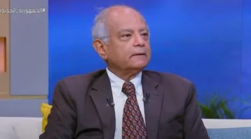 حسين هريدي: من الضروري تعزيز قوة الردع لحماية الأمن القومي العربي