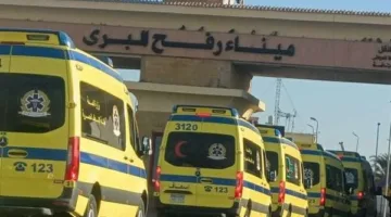 عاجل.. “مصر تظل مفتوحة” .. تفاصيل الدعم الذي أنقذ غزة من الكارثة.