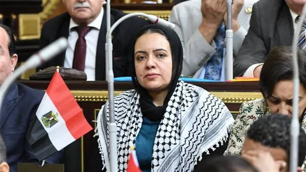 نائبة برلمانية تندد بشدة بالاعتداء الصارخ من قبل إسرائيل على الجمهورية الإسلامية الإيرانية نائبة برلمانية تندد بشدة بالاعتداء الصارخ من قبل إسرائيل على الجمهورية الإسلامية الإيرانية