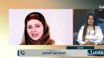 عبير الشرقاوي: المجتمع الفني غير متقبل للحجاب، والعودة ممكنة بشروط معينة.