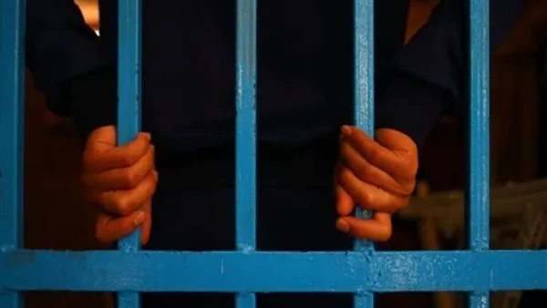احتجاز المتهم في قضية سرقة الهواتف المحمولة بالسلام احتجاز المتهم في قضية سرقة الهواتف المحمولة بالسلام