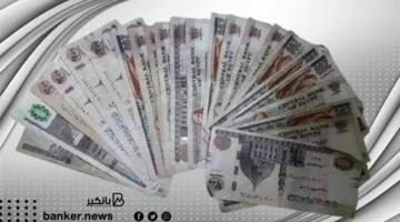 قرض الدعم للمطلقات والأرامل: “مستورة” في الصدارة وبرامج تمويلية من المصارف