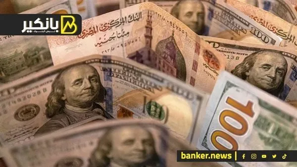 تغير غير متوقع في سعر الدولار: ما الذي يجري في سوق العملات الأجنبية؟ تغير غير متوقع في سعر الدولار: ما الذي يجري في سوق العملات الأجنبية؟