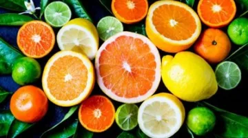 توجيهات فنية أساسية من وزارة الزراعة لتعزيز إنتاجية الموالح
