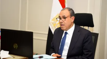 وزير الخارجية ينضم إلى حدث افتراضي مع الجالية المصرية في المملكة المتحدة
