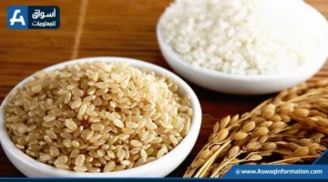 سعر الأرز عند التجار اليوم الإثنين.. كم تبلغ تكلفة طن الشعير؟