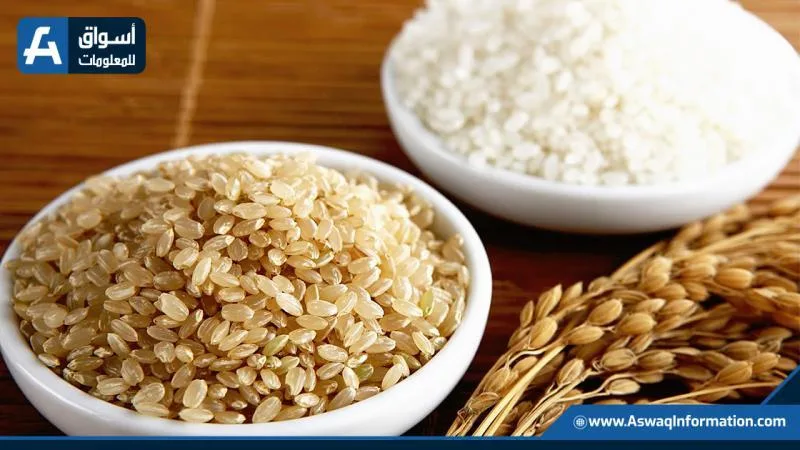 سعر الأرز عند التجار اليوم الإثنين.. كم تبلغ تكلفة طن الشعير؟ سعر الأرز عند التجار اليوم الإثنين.. كم تبلغ تكلفة طن الشعير؟