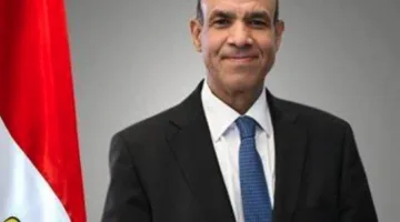 وزير الخارجية يشدد على ضرورة مشاركة الجالية المصرية في المملكة المتحدة في الانتخابات المقبلة