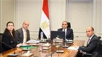 وزير الخارجية يتواجد في الاجتماع الإلكتروني مع الجالية المصرية في المملكة المتحدة