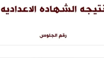 من خلال الرابط.. نتائج الصف الثالث الإعدادي في محافظة الإسماعيلية وطرق الاستعلام عنها