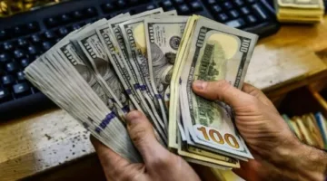 تحويلات المغتربين تقاوم الأزمات.. واحتياطي العملات الأجنبية يحقق رقمًا قياسيًا