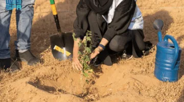 إنجاز بيئي يعكس التزام المملكة بالاستدامة: زراعة 31 مليون شجرة في المنطقة الشرقية
