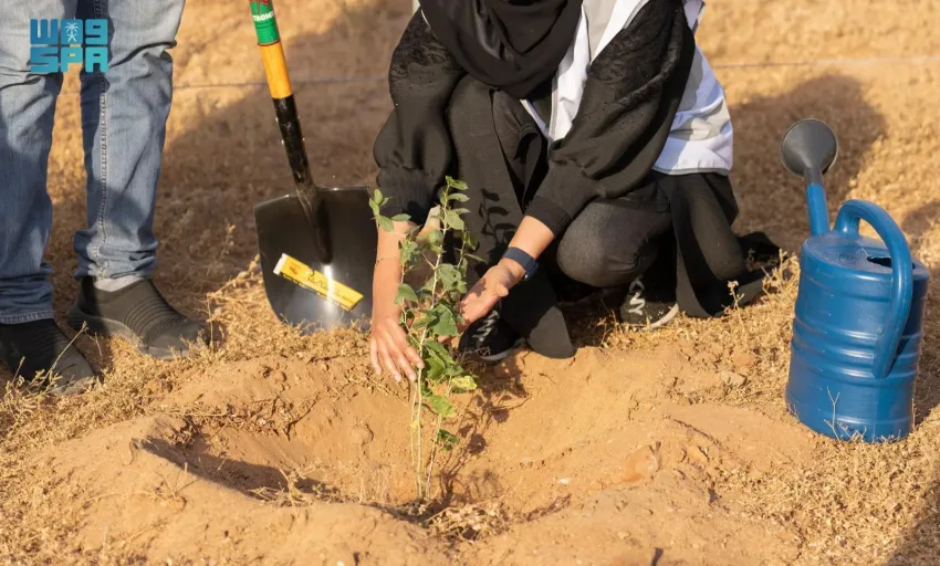 إنجاز بيئي يعكس التزام المملكة بالاستدامة: زراعة 31 مليون شجرة في المنطقة الشرقية