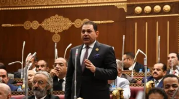 النائب فرج فتحي فرج: إسرائيل تثير النزاعات لتفجير الأوضاع في المنطقة.. ومصر تبرز في حماية استقرار الإقليم.