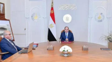 الرئيس السيسي يراجع مشروعات الهيئة العربية للتصنيع ويطالب بتعزيز الشراكة مع القطاع الخاص