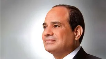 توجيهات رئاسية لتعزيز التعاون مع القطاع الخاص لدعم استراتيجية توطين صناعة السيارات