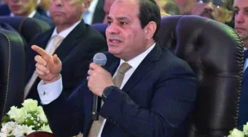 توجيهات رئاسية لتعزيز التعاون مع القطاع الخاص في إطار استراتيجية توطين صناعة السيارات
