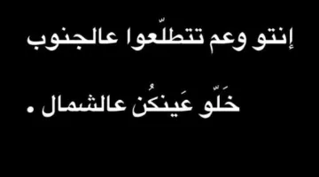 نادين الراسي تفاجأ برد فعلها عند اجتياز الصواريخ الإيرانية فوق لبنان.