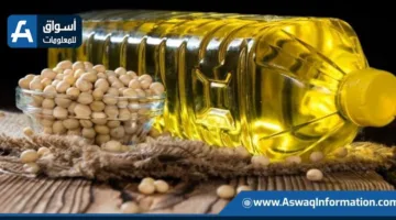 زيادة العقود الآجلة لزيت الصويا إلى ذروتها في 18 شهرًا