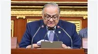 “اللجنة التشريعية للنواب”: الحكومة قامت بخطوات جادة لتقليل الدين العام.
