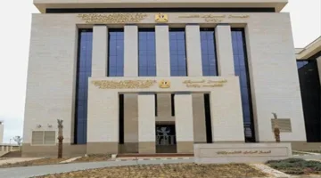 متى تنطلق اختبارات الوظائف الحكومية؟ «التنظيم والإدارة» ت revealing التفاصيل.