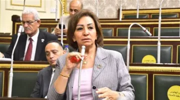 النائبة مها عبد الناصر ترفض ميزانية الدولة للسنة المالية 2025/2026: الأرقام ستتأثر بالأحداث المتجددة
