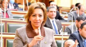 النائبة مها عبدالناصر تُعلن عن معارضتها لموازنة الدولة العامة لعام 25-26