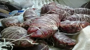 مصادرة كميات من البسطرمة والزبدة منتهية الصلاحية في محل تجاري بحي العرب ببورسعيد