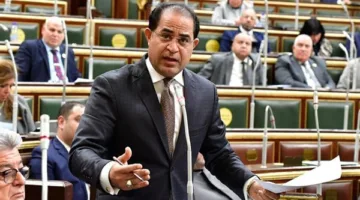 نائب: الرئيس السيسي واجه جميع التحديات في ظل ظروف اقتصادية قاسية