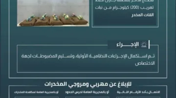 حرس الحدود في جازان ينجح في إحباط تهريب 200 كيلوغرام من نبات القات المخدر