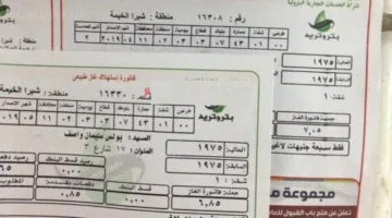 كيفية تسجيل قراءة عداد الغاز المنزلي لشهر يونيو 2025: إليك الخطوات الفعّالة