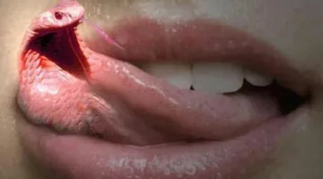 علي جمعة يسلط الضوء على أسوأ فخاخ اللسان في عصرنا وكيف يمكن للمسلم تجنبها.